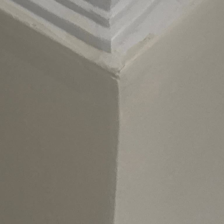 Filli Boya Renk Uyumsuzluğu Ve Destek Beklentisi