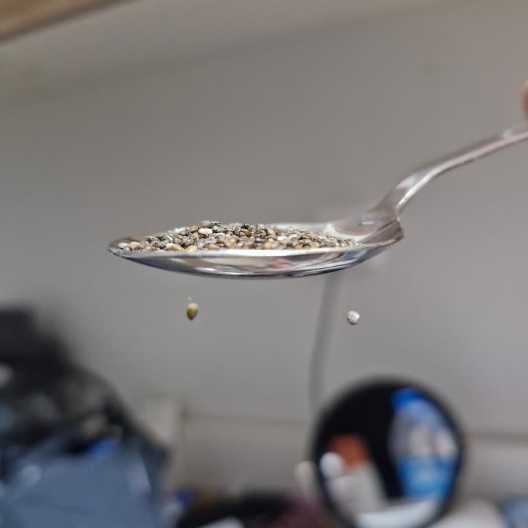 Samsun Atakum Migros Şubesinden Alınan Chia Tohumunda Böceklenme