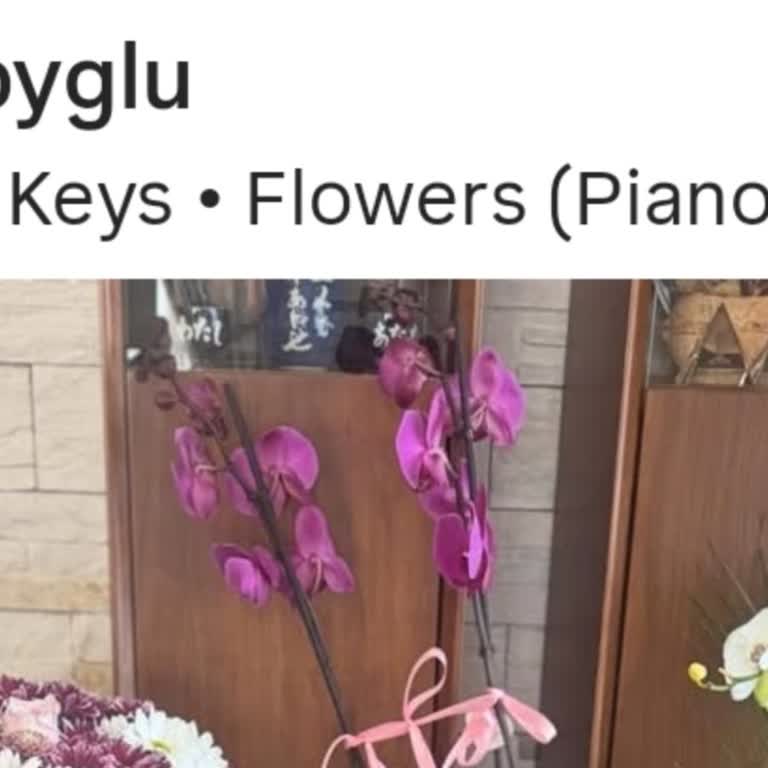 Hasarlı Orkide Ve Düzensiz Teslimat