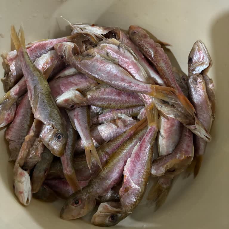 Balikhalim.com Duble İri Barbun Yerine Küçük Balık Gönderildi, Yorumum Yayımlanmadı