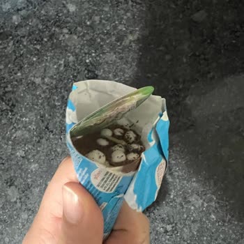 Şok Market Çikolatasında Böcek Ve Küf, Sağlık Riski