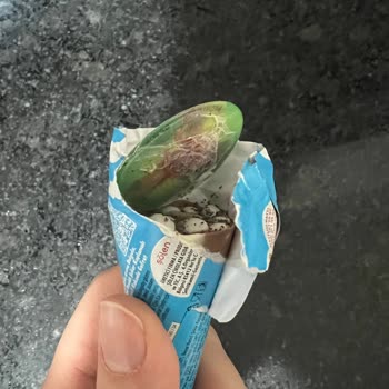 Şok Market Çikolatasında Böcek Ve Küf, Sağlık Riski