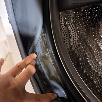 Bosch Çamaşır Makinesinde Küflü Lastik Ve Kesintisiz Koku Sorunu