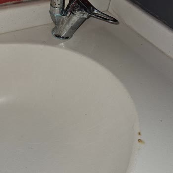 Obilet’te İptal Seçeneği Olmadan Aldığım Otelde Yanıltıcı Görseller Ve Kalitesiz Konaklama