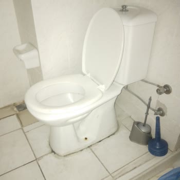 Ege Üniversitesi Çocuk Göğüs Servisinde Hijyen Ve Bozuk Yataklar Nedeniyle Acil Sağlık Riski