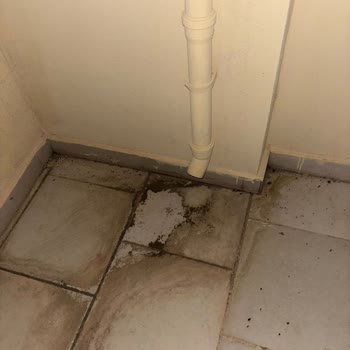 Sompo Sigorta’nın Hasar Taleplerimin Red Edilmesi Ve Poliçe İptali Talebi