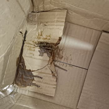 Watsons Kutu Delindiği İçin Arko Tıraş Köpüğü Eksik, Müşteri Hizmetlerine Ulaşılamıyor