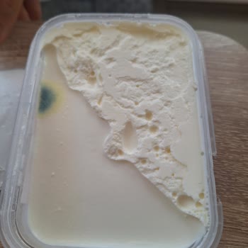 Güven Market'ten Alınan Kaymakta Küflü Ürün Ve Sağlık Endişesi