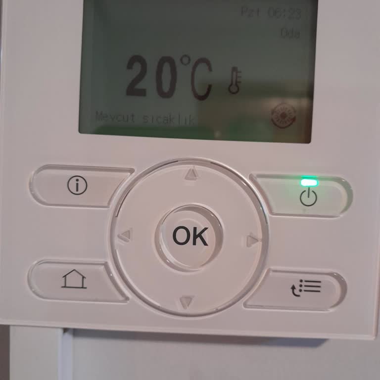 New Daikin Heat Pump Stopped Heating After Two Days