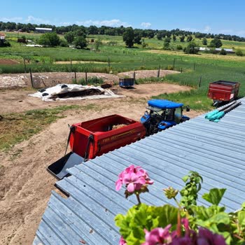 Helezon Bıçakları Yemi Almadığı İçin Makine Çalışmıyor Bant Yırtıldı Ve Servis Yanıt Vermedi