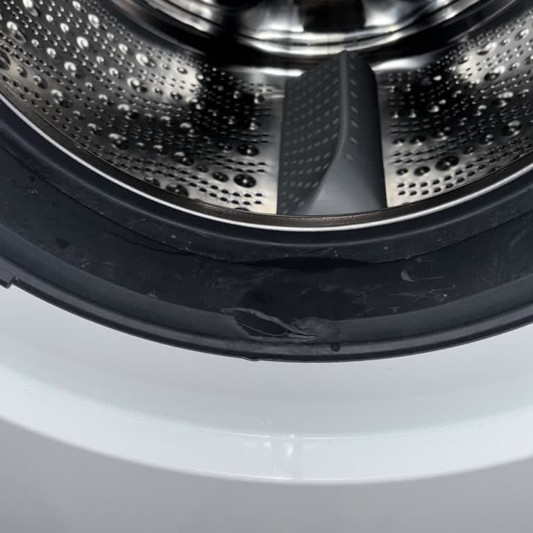 Garanti Kapsamındaki Bosch Çamaşır Makinesinin Körük Lastiği İçin Ücret Talebi