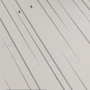 İETT Yakuplu Bulut Durağı