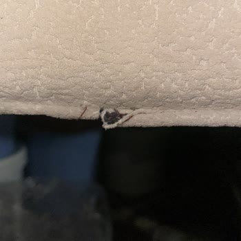 Siirt Tillo'da Horoz Lojistik'ten İade Kodu İptali Ve Kargo Gelmemesi