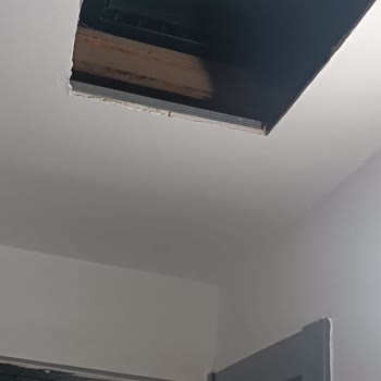 Erkanlar Group Binasındaki Delikler Ve Açıklıklar Haşere Girişine Ve Elektrik Arızasına Neden Oluyor