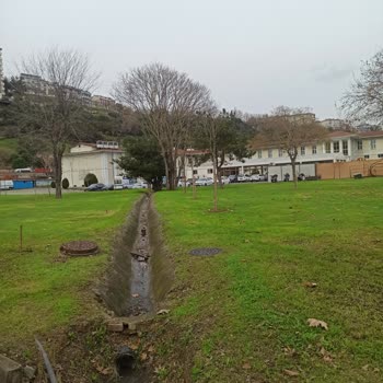 Ring Servisinin Erken Çıkışı Ve Alternatif Ulaşım Eksikliği Mağduriyeti