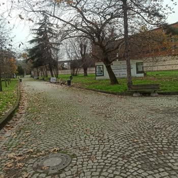 Ring Servisinin Erken Çıkışı Ve Alternatif Ulaşım Eksikliği Mağduriyeti