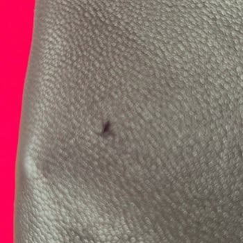 Derimod Montunun Deri Aşınması Ve Ücret İadesi Talebi