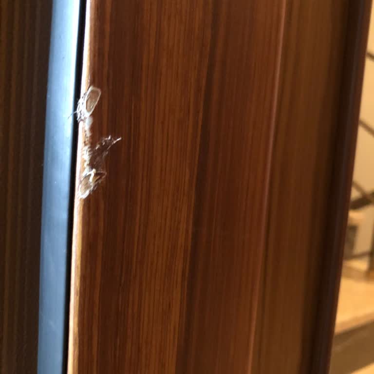 Hepsiburada'dan Gelen Derin Dondurucu Hasarı Ve Yanlış Ürün, Tekrarlanan Sorunlar