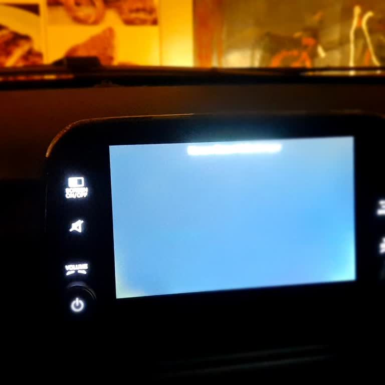 Arızalı Kamera Nedeniyle Garanti Kapsamındaki Aracımda Sistem Arızası Ve Ücretsiz Montaj Talebi