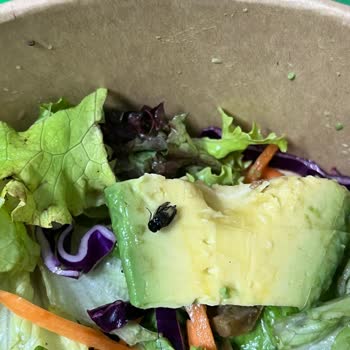 Avokadodaki Sinek Ve Platformun Cevapsızlığı