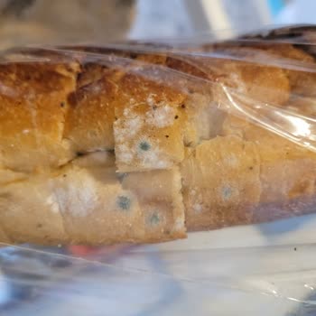 BİM Şubesinde Küflenmiş Ekmeğe Karşı Sağlık Şikayeti