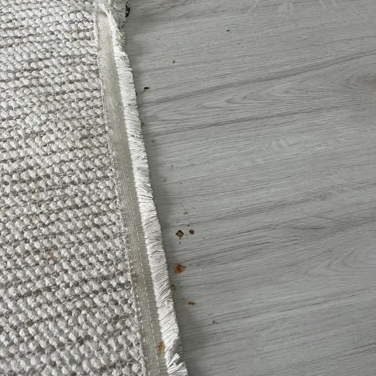 Philips 7100 Süpürge Çekim Gücü Sorunu İçin İade Talebi