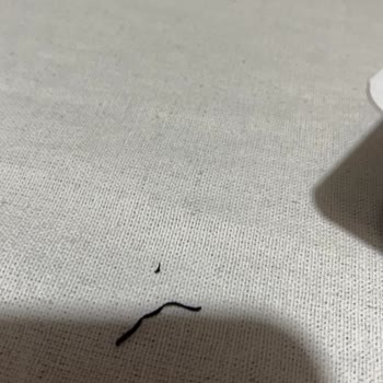 Danette Çikolatalı Pudingde Yabancı Cisim Çıktı Güvenlik Endişesi