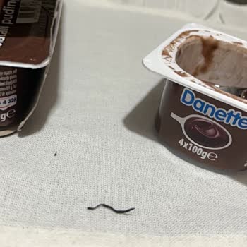 Danette Çikolatalı Pudingde Yabancı Cisim Çıktı Güvenlik Endişesi