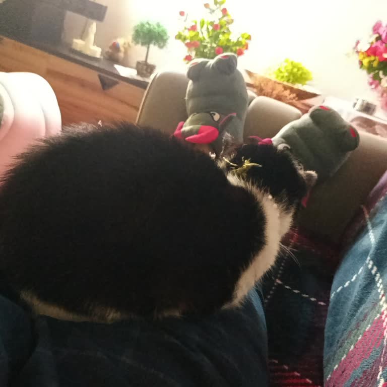 İnaktif Hesap İşletim Ücreti Kesintileri Ve İade Talebi