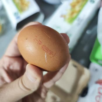 Organik Yumurta Etiketinde Çelişen Kodlar Tüketiciyi Aldatıyor