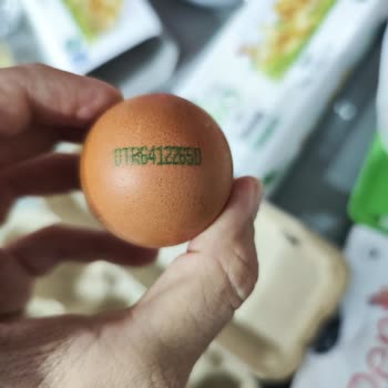 Organik Yumurta Etiketinde Çelişen Kodlar Tüketiciyi Aldatıyor