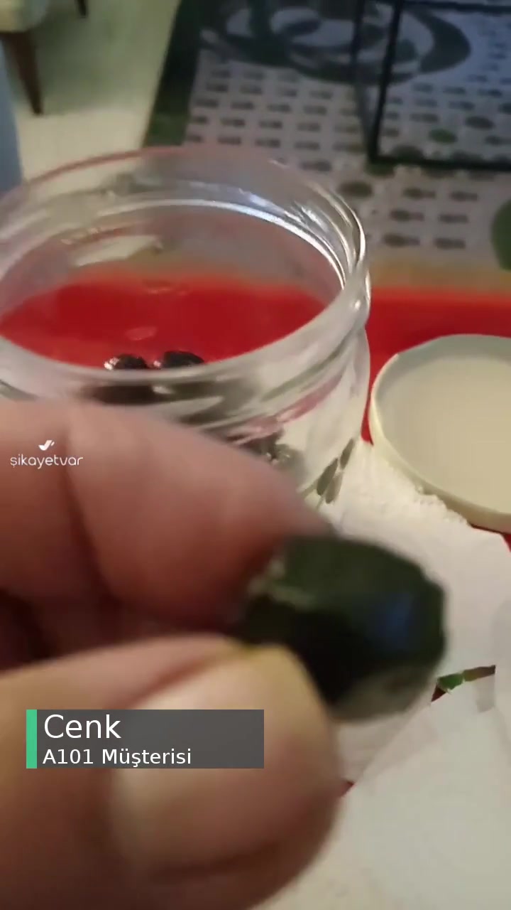 A101 Zeo Zeytinden Taş Çıktı! videonun kapak resmi