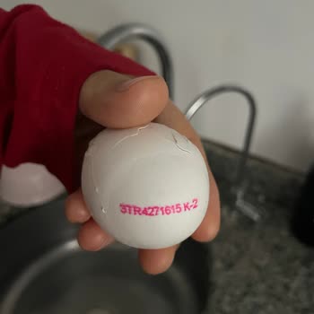 Örnek Market Satışta Bozulmuş Yumurta, Yoğun Koku Ve Siyahlaşan Zar, Sağlık Ve Hijyen Endişesi