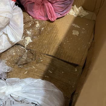 Edirne Tunca Şubesinde Gecikme, İlgisizlik Ve Hasarlı Paketler Nedeniyle Şikayet