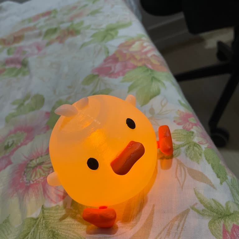 Yanlış Ürün Gönderimi Ve Kalitesiz Plastik Ördek İadesi Talebi