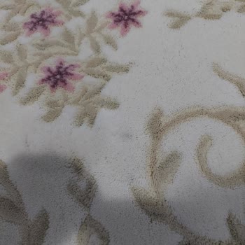 Cihan Halı Yıkama'da Ödenen Ücret Karşısında Halılarda Lekeler Çıkarılamadı