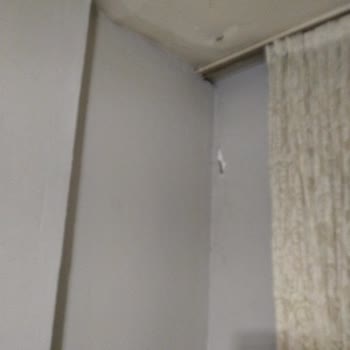 Belediyenin Su Baskını Nedeniyle Çürüyen Evde Aile Sağlığı Tehlikede