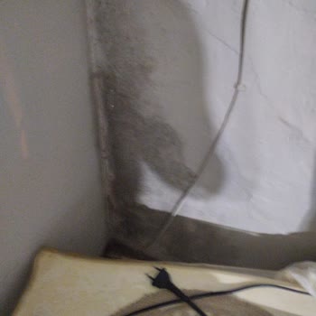 Belediyenin Su Baskını Nedeniyle Çürüyen Evde Aile Sağlığı Tehlikede