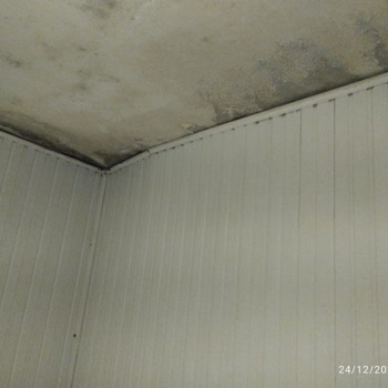 Belediyenin Su Baskını Nedeniyle Çürüyen Evde Aile Sağlığı Tehlikede