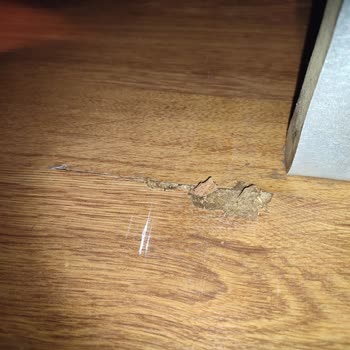 Arçelik Bulaşık Makinesi Servis Hatası Nedeniyle Laminat Zararına Karşı Sorumluluk İstiyorum