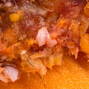 Kebapta Kıl Bulunması Ve İade İşleminin Gecikmesi