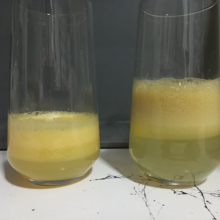 Satılan Özelliği Taşımaz: Sage Katı Meyve Sıkacağı Homojen Değil