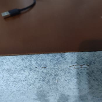 Defolu Koltuk Takımı Ve Kırık Baza İçin Hızlı Değişim Talebi
