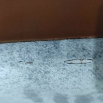 Defolu Koltuk Takımı Ve Kırık Baza İçin Hızlı Değişim Talebi