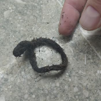 Çaykur Tiryaki Çay Paketi İçinde Saçlı Toka Bulunması Hijyen İhlali