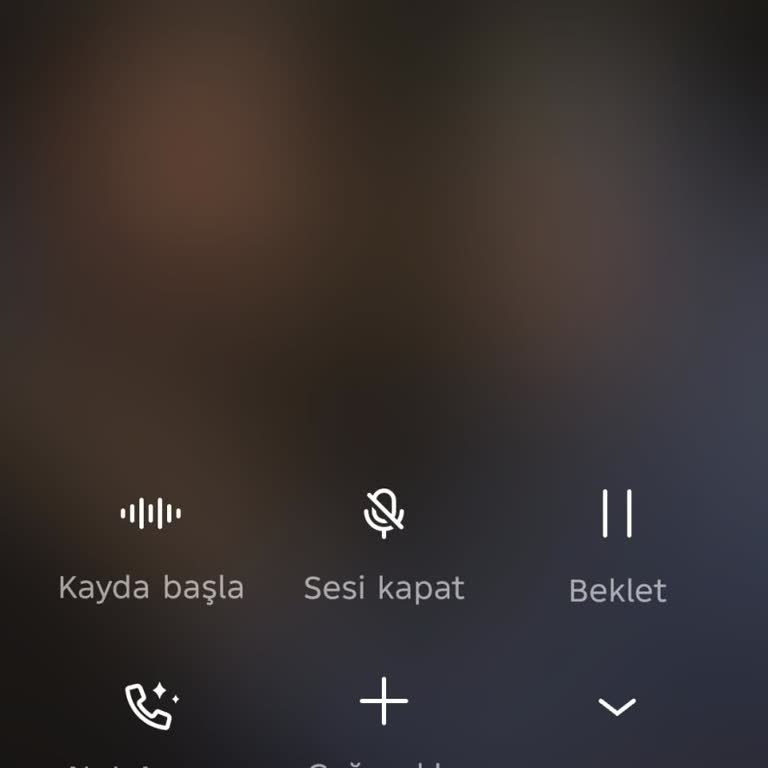 Dinamik Pay Hesabına Erişilemiyor, Destek Yanıtı Gelmiyor