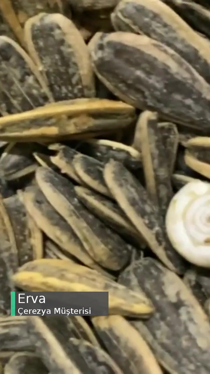 Çerezya Çekirdeği Tabağa Koyduk İçinden Salyangoz Çıktı! videonun kapak resmi