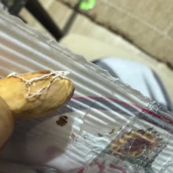 Artı Market Akpınar Şubesindeki Kurtlu Fındık İçin İade Talebi