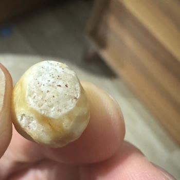 Artı Market Akpınar Şubesindeki Kurtlu Fındık İçin İade Talebi