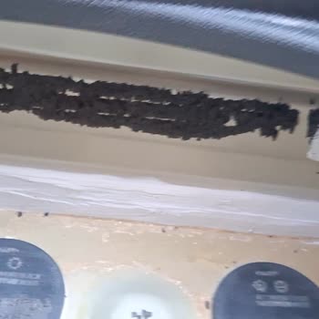 Bagajda Su Birikmesi Ve Pas Oluşumu Nedeniyle Araç Değişimi Talebi